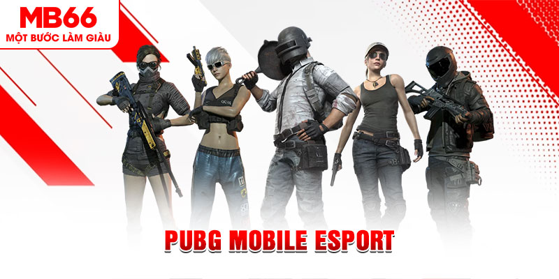 alo789 net gà chọi c1 mới nhất