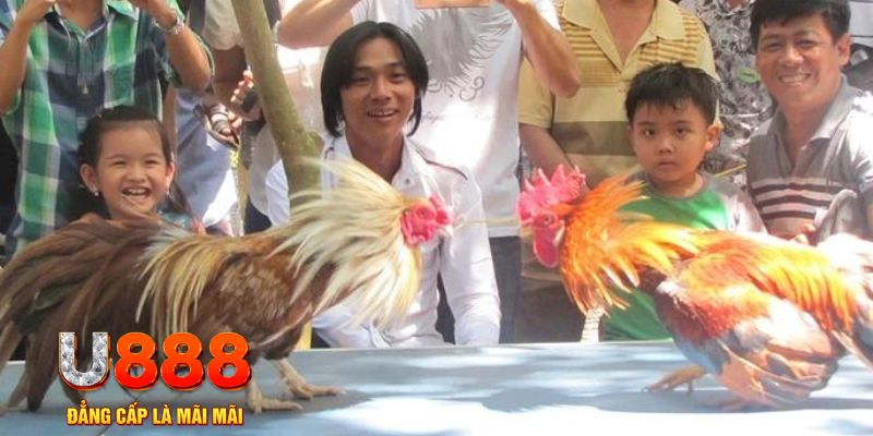 alo789 net mơ thấy nổ hũ đánh con gì