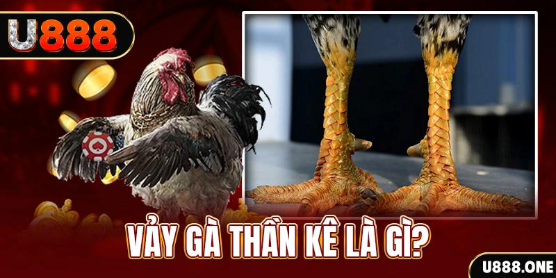 alo789 net xổ số miền bắc thứ tư hàng tuần