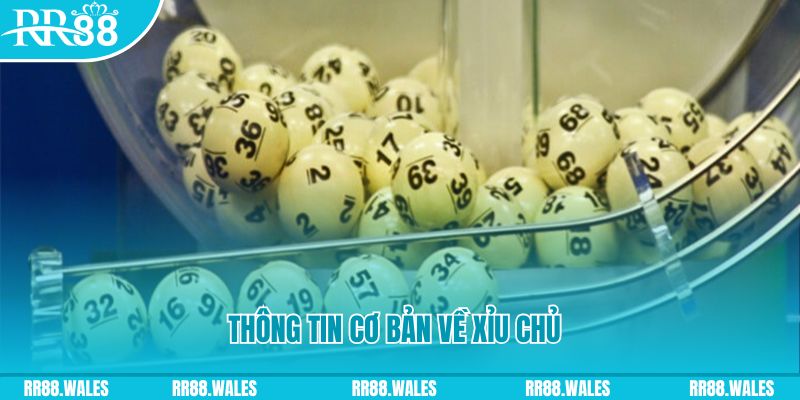 alo789 net baccarat long bảo là gì