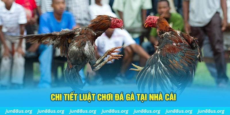 alo789 net đá gà campuchia