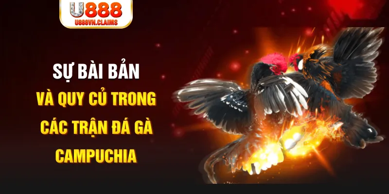 alo789 net baccarat lừa đảo như thế nào