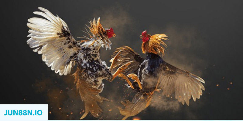 alo789 net bắn cá long vương