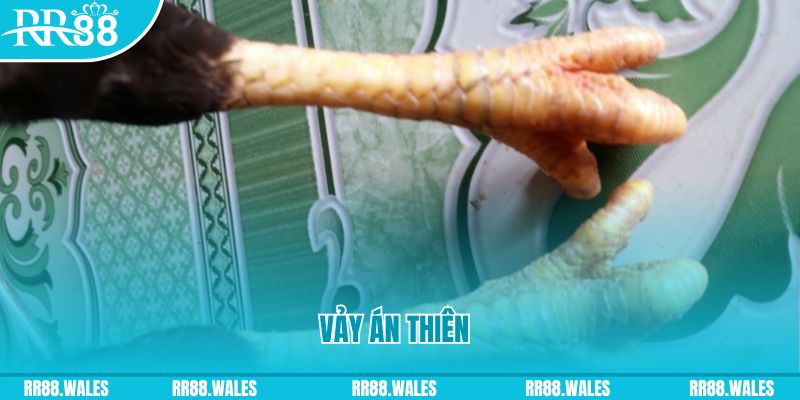 alo789 net who wants to be a millionaire slot