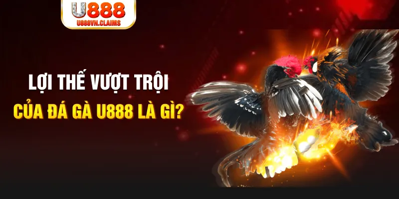 888 slot là gì